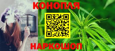 спиды Новозыбков