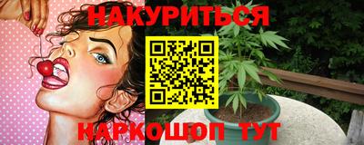 спиды Новозыбков