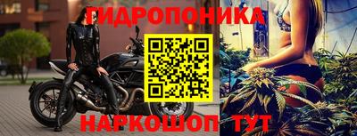 спиды Новозыбков