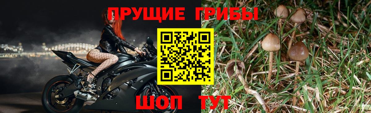 Галлюциногенные грибы мухоморы  Вход с VPN  Прохладный 