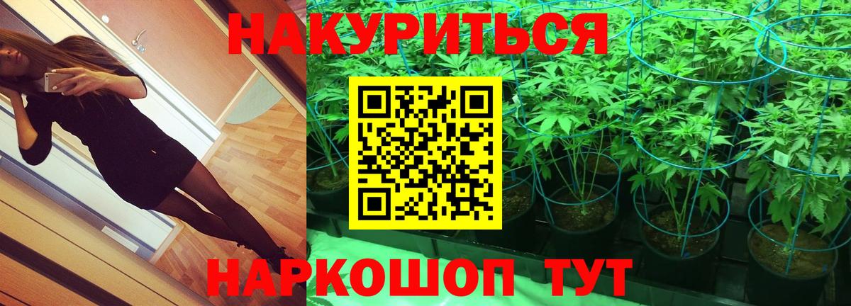 Конопля план Прохладный